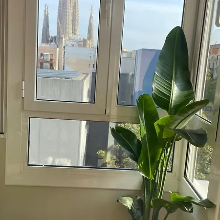 The View Of Sagrada Familia Barcelona